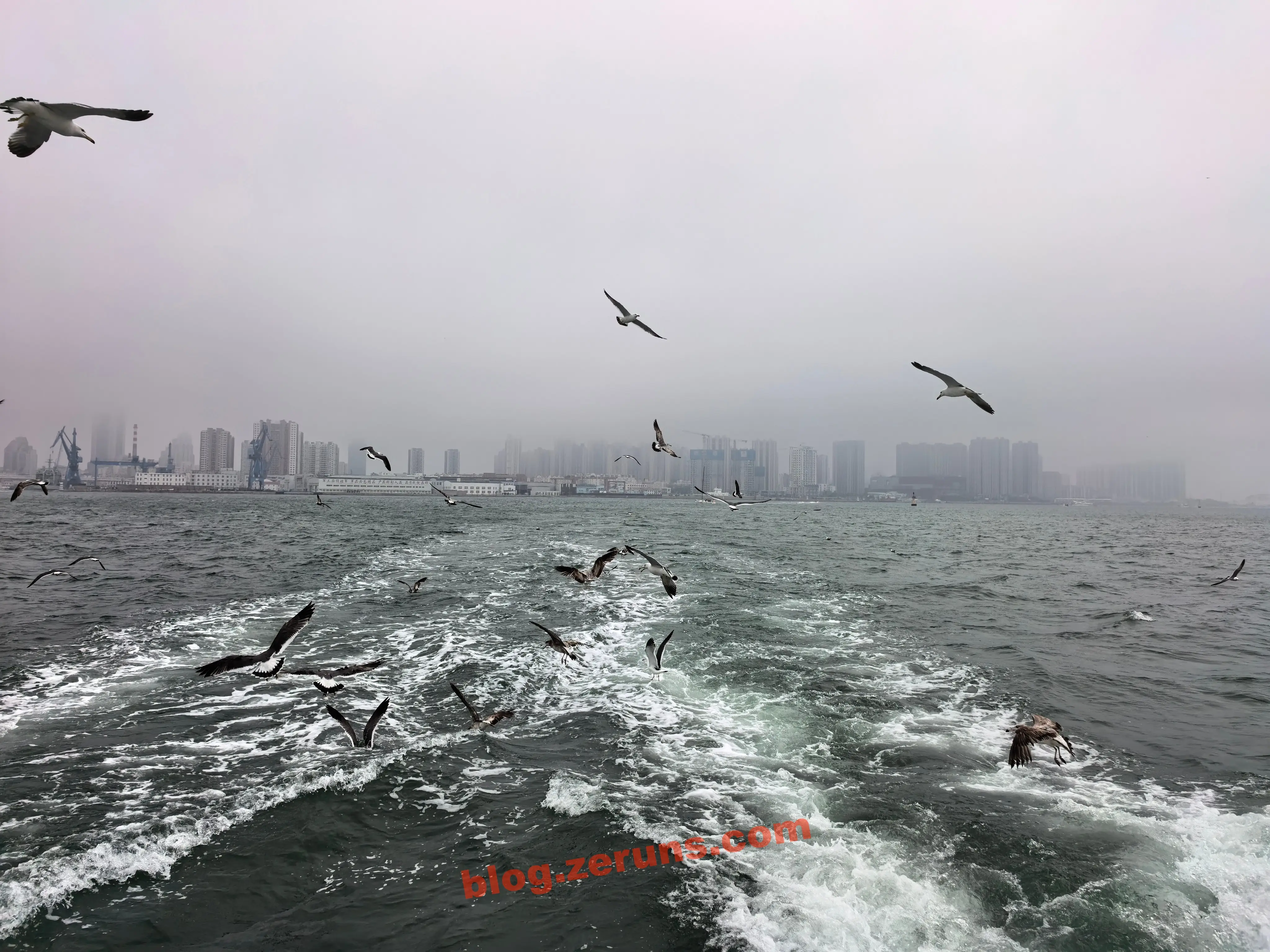 Qingdao Ferry